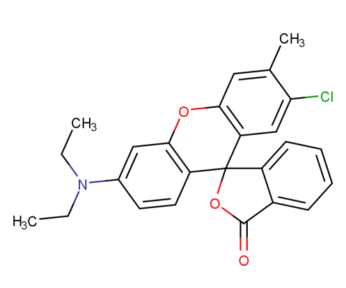 JYDR-7.png